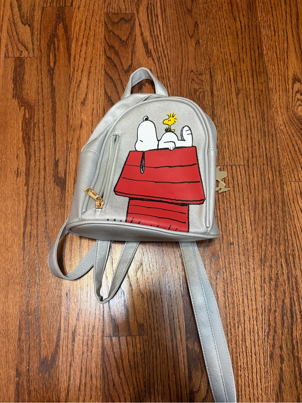 Silver Kids Backpack with Snoopy & Woodstock Red Doghouse Design